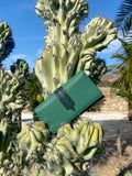 Atina cuir dutch - Green Tea